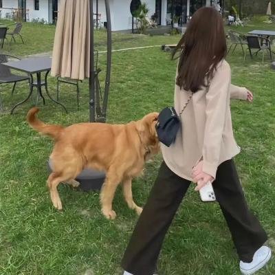自视性幻觉